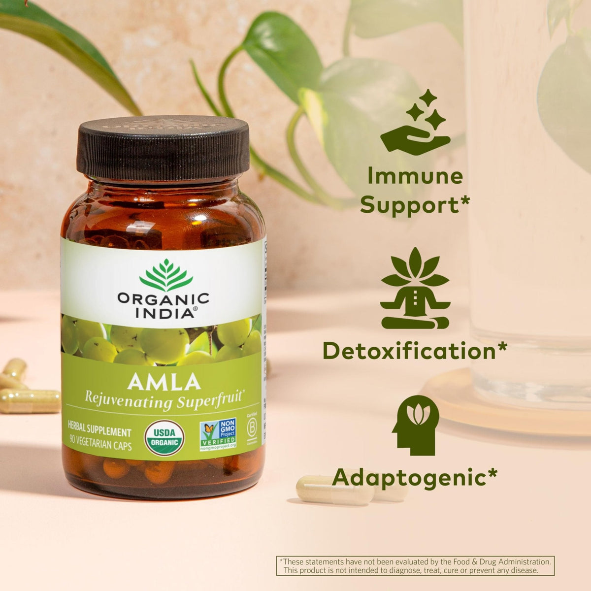 ORGANIC INDIA Amalaki Herbal Vitamin Supplement - Immune Support, Vitamin C, Vegan, Gluten-Free, Kosher, Ayurvedic, Antioxidant - PrimeBioHealth - canada supplements