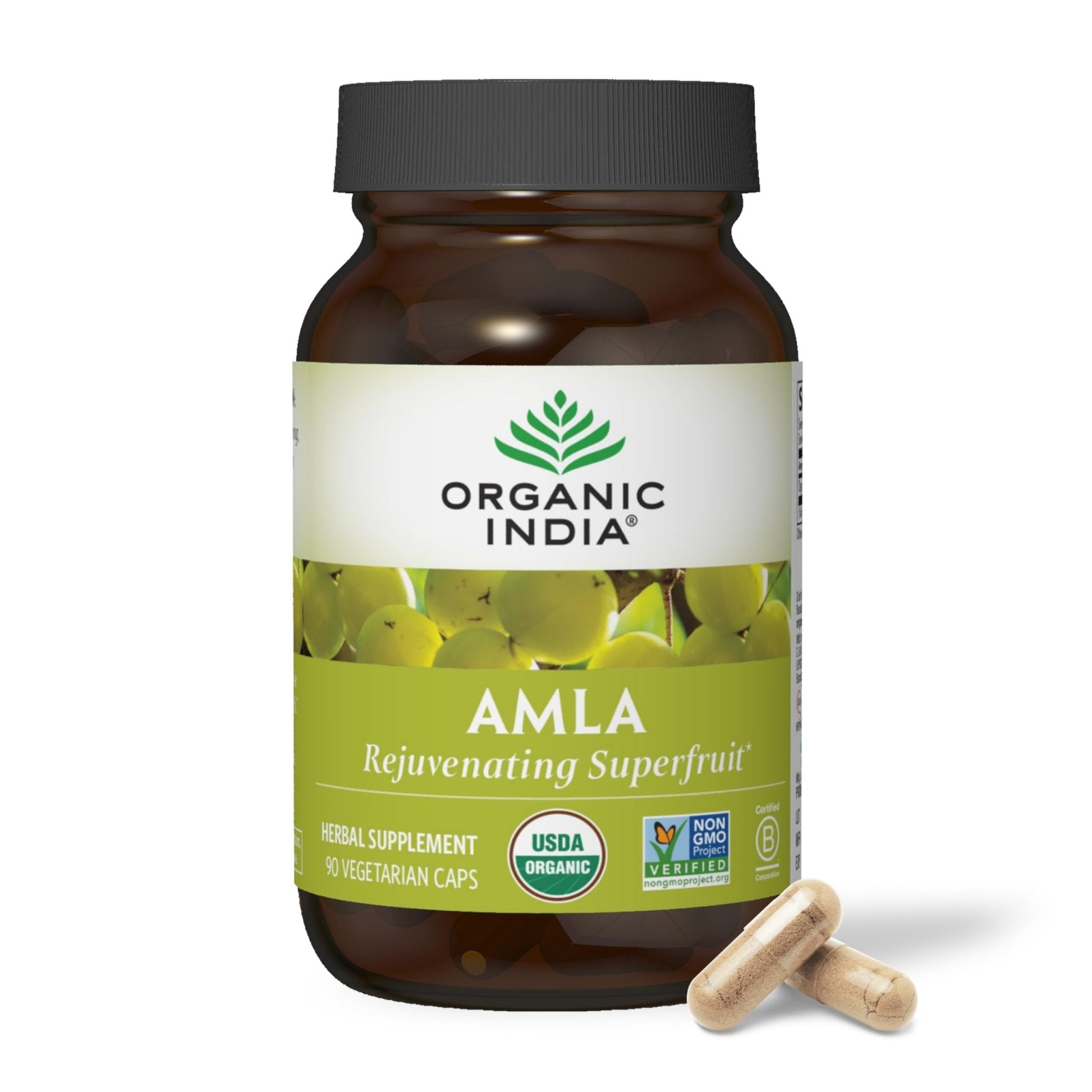 ORGANIC INDIA Amalaki Herbal Vitamin Supplement - Immune Support, Vitamin C, Vegan, Gluten-Free, Kosher, Ayurvedic, Antioxidant - PrimeBioHealth - canada supplements
