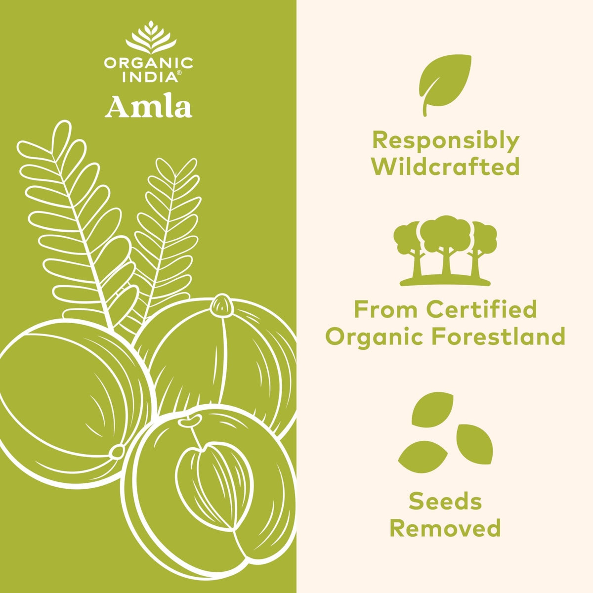 ORGANIC INDIA Amalaki Herbal Vitamin Supplement - Immune Support, Vitamin C, Vegan, Gluten-Free, Kosher, Ayurvedic, Antioxidant - PrimeBioHealth - canada supplements