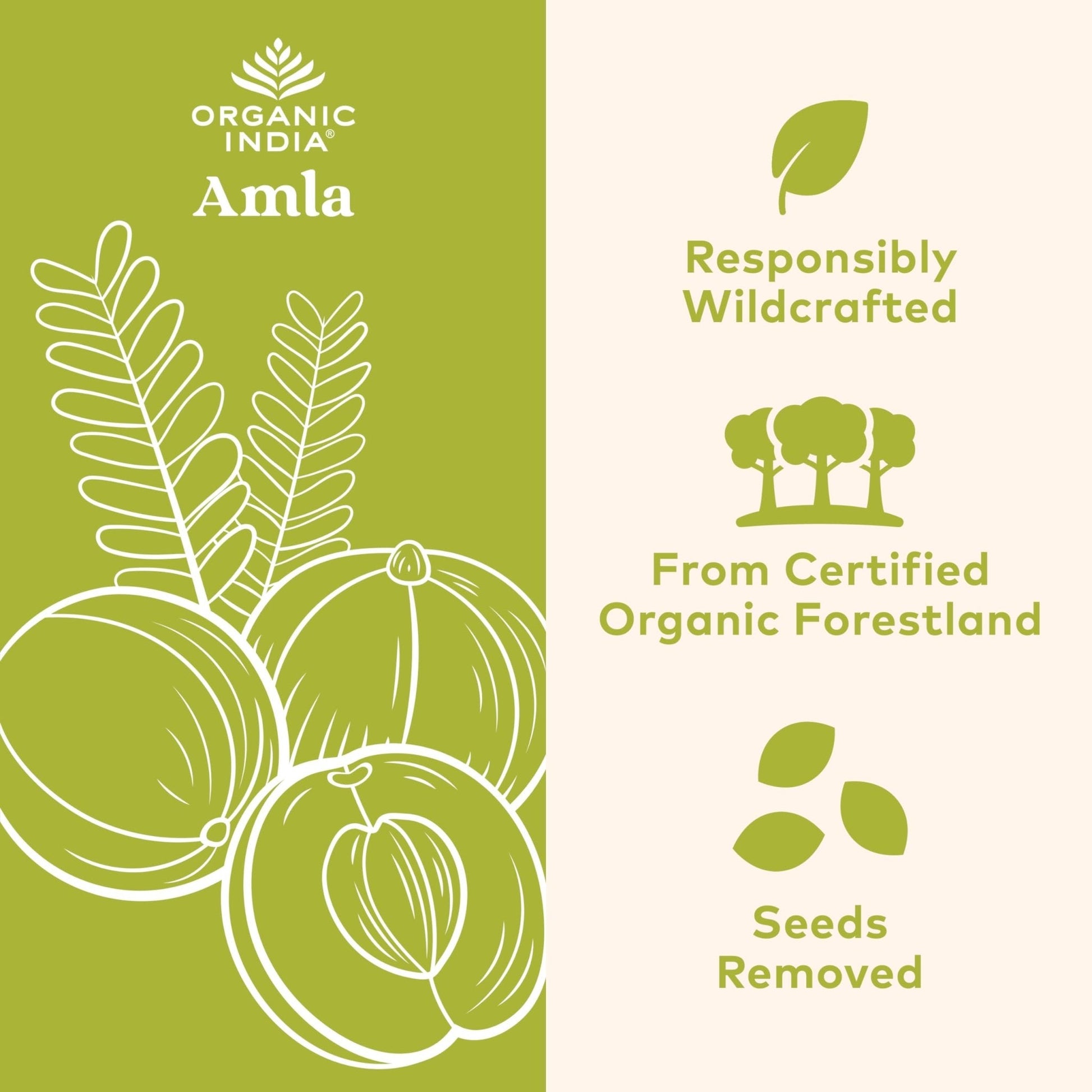 ORGANIC INDIA Amalaki Herbal Vitamin Supplement - Immune Support, Vitamin C, Vegan, Gluten-Free, Kosher, Ayurvedic, Antioxidant - PrimeBioHealth - canada supplements