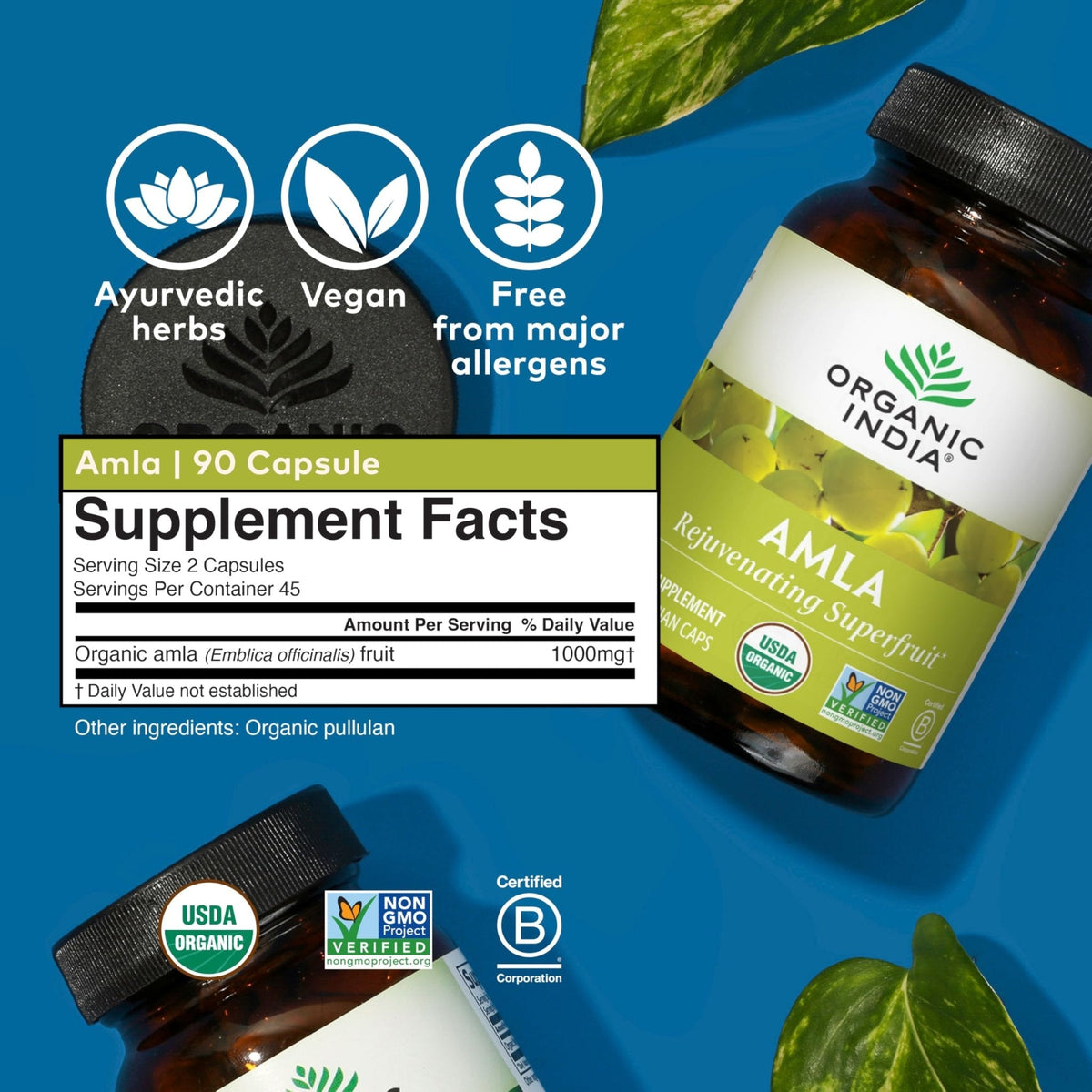 ORGANIC INDIA Amalaki Herbal Vitamin Supplement - Immune Support, Vitamin C, Vegan, Gluten-Free, Kosher, Ayurvedic, Antioxidant - PrimeBioHealth - canada supplements