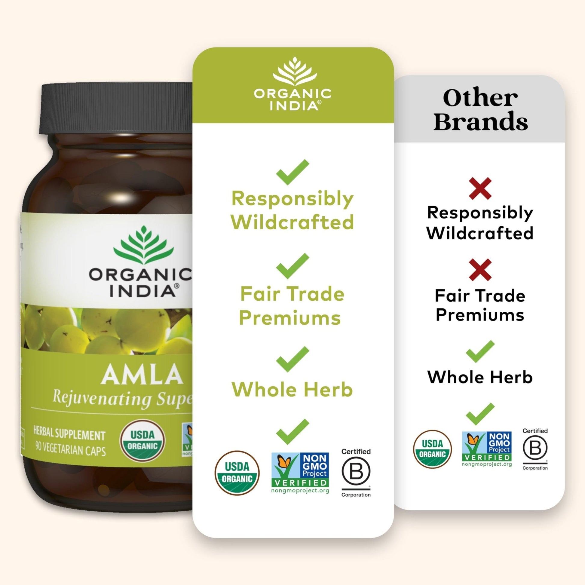 ORGANIC INDIA Amalaki Herbal Vitamin Supplement - Immune Support, Vitamin C, Vegan, Gluten-Free, Kosher, Ayurvedic, Antioxidant - PrimeBioHealth - canada supplements