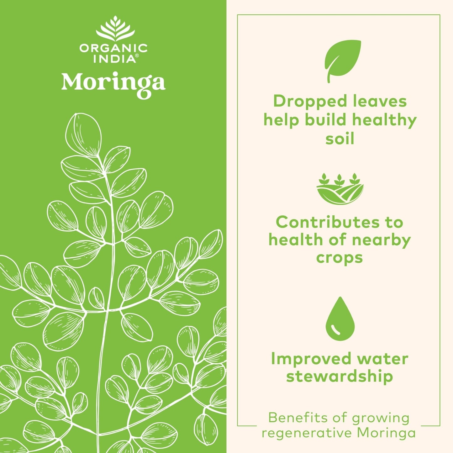 ORGANIC INDIA Moringa Herbal Supplement - Green Superfood, Nutrient Dense, Pure Plant Protein, Vitamin A, E, K, Iron, Calcium, Fiber, Vegan - PrimeBioHealth - canada supplements
