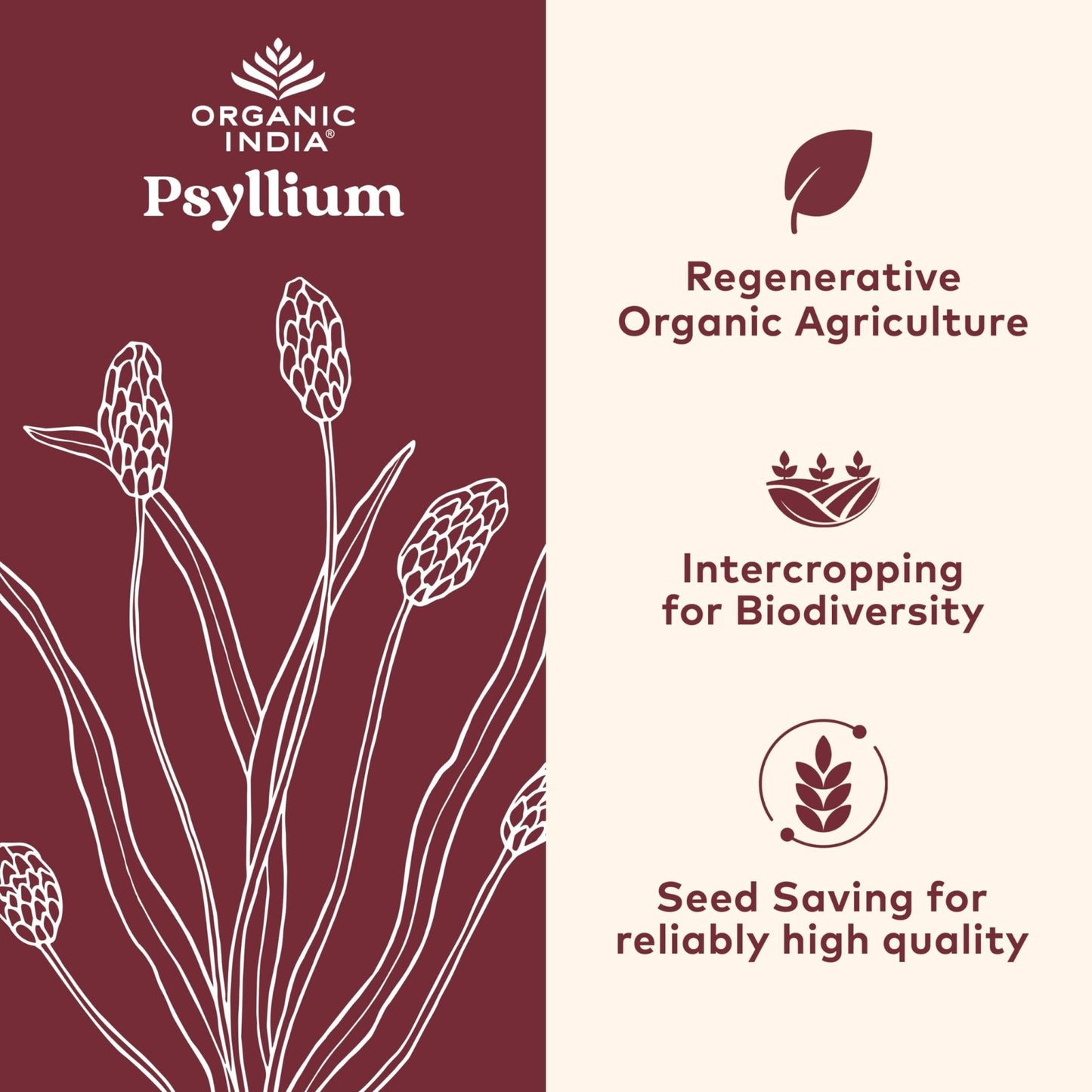 ORGANIC INDIA Psyllium Husk Capsules - Fiber Supplement, Healthy Elimination - Vegan, Keto Friendly, Gluten-Free, USDA Certified Organic, Non-GMO - PrimeBioHealth - canada supplements