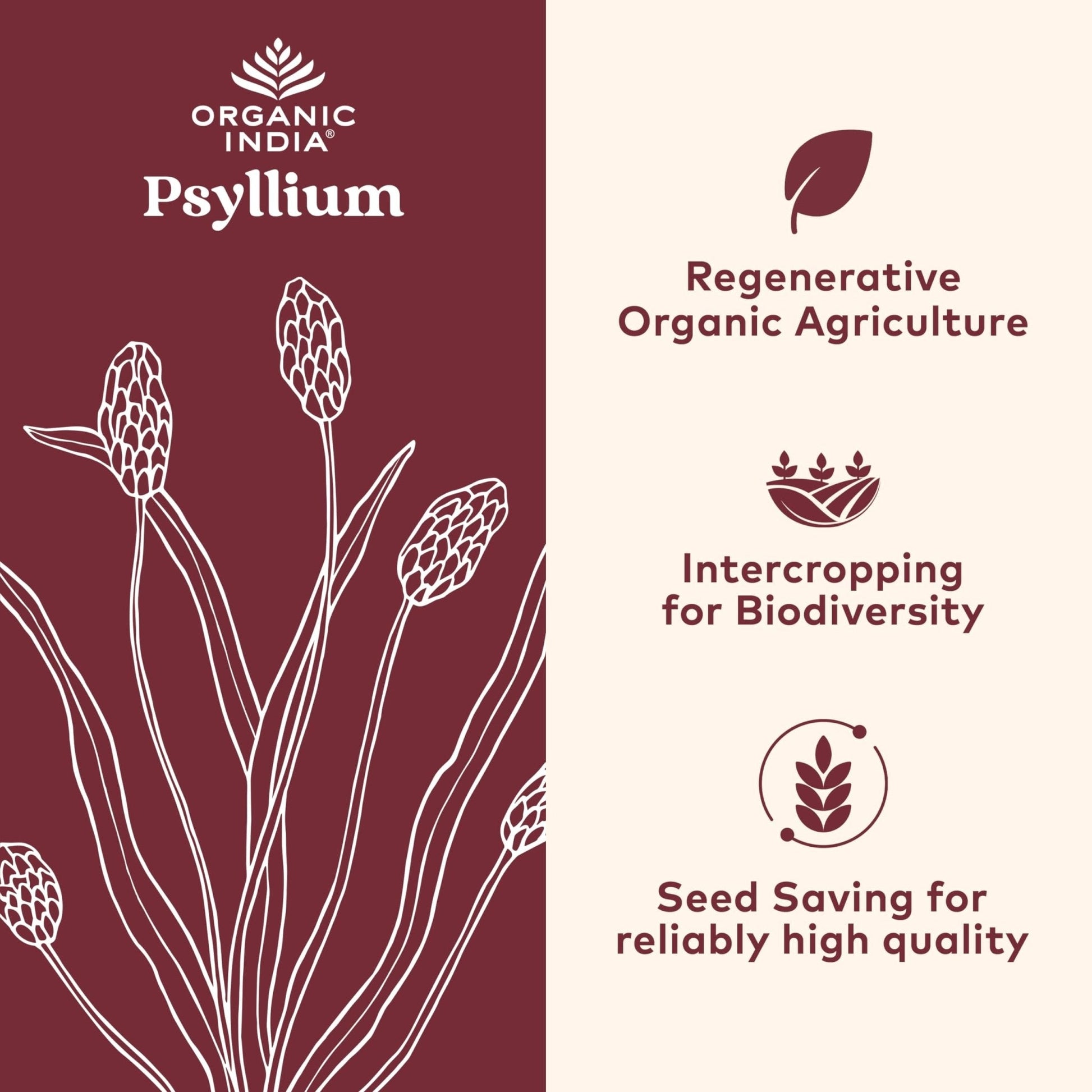 ORGANIC INDIA Psyllium Husk Capsules - Fiber Supplement, Healthy Elimination - Vegan, Keto Friendly, Gluten-Free, USDA Certified Organic, Non-GMO - PrimeBioHealth - canada supplements