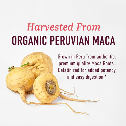 Organic Maca Root Capsules for Women | Peruvian Maca 2250MG Extra Strength | Red, Black & Yellow Root Powder with Black Pepper | Herbal Supplement - PrimeBioHealth - canada supplements