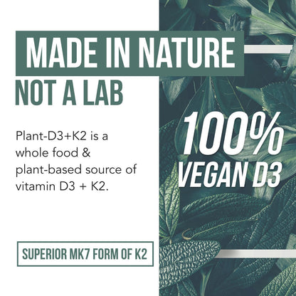 Organic Plant D3 + K2 | 5000 iu D3 + 120 mcg K2 as All-Trans MK7 from MenaQ7® - 100% Whole Food, Raw & Vegan | Enhanced Digestion with Prebiotic & Superfood Complex – D3 from Organic Algae (60 Count) - PrimeBioHealth - canada supplements