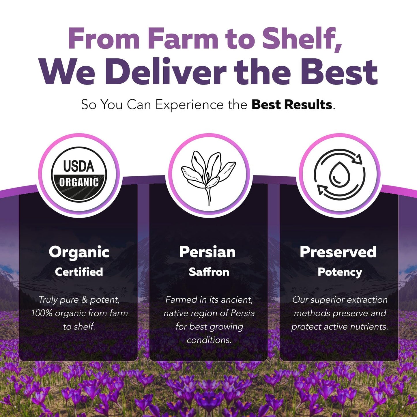 Organic Saffron Extract: Optimized Extract with Safromotivines, Safranal, and Crocins – Clinically Studied | Premium Persian Sargol Quality | Supports Mood, Calmness, and Relaxation – 30 Servings - PrimeBioHealth - canada supplements