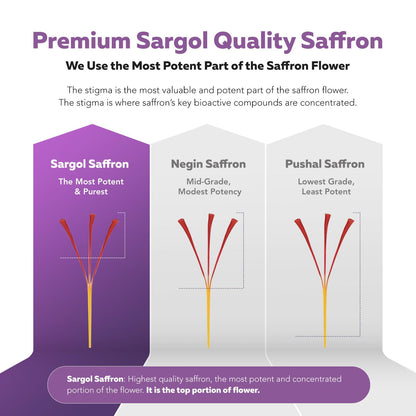 Organic Saffron Extract: Optimized Extract with Safromotivines, Safranal, and Crocins – Clinically Studied | Premium Persian Sargol Quality | Supports Mood, Calmness, and Relaxation – 30 Servings - PrimeBioHealth - canada supplements