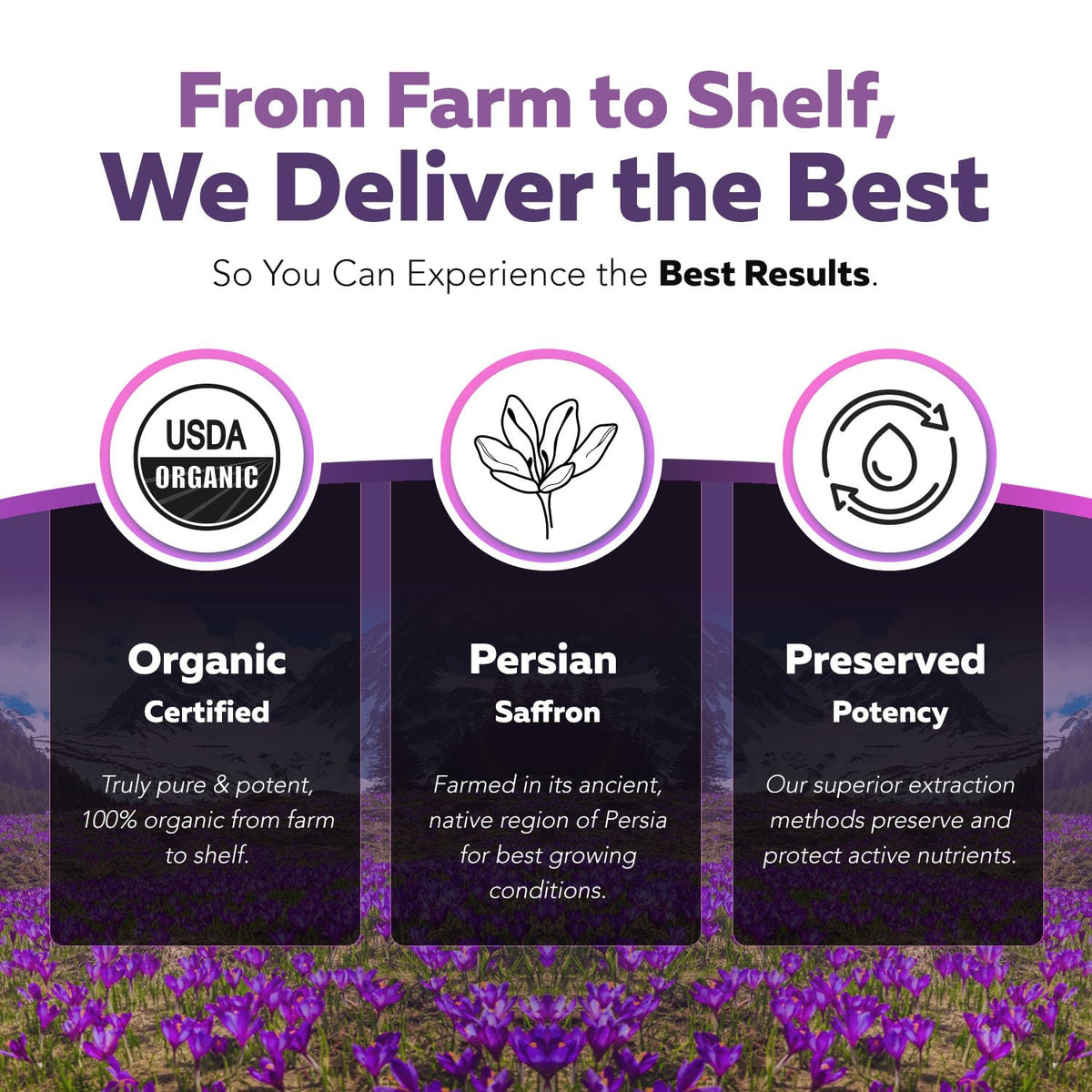 Organic Saffron Extract: Optimized Extract with Safromotivines, Safranal, and Crocins – Clinically Studied | Premium Persian Sargol Quality | Supports Mood, Calmness, and Relaxation – 30 Servings - PrimeBioHealth - canada supplements