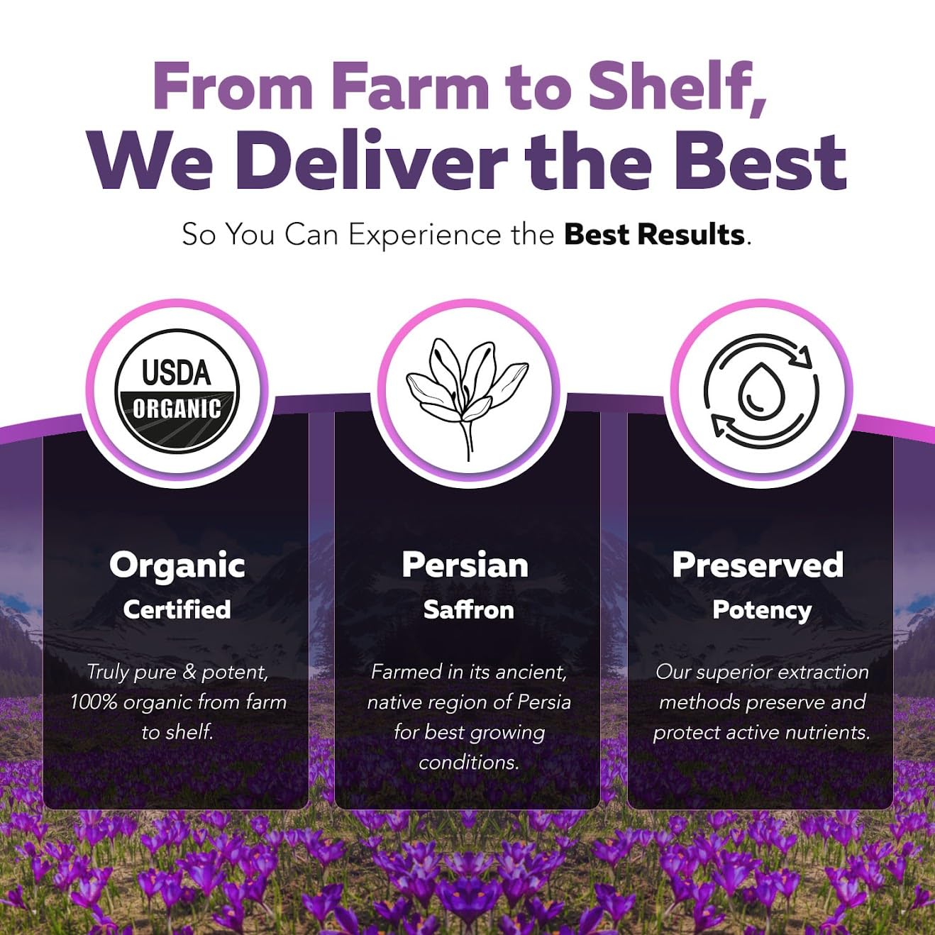Organic Saffron Extract: Optimized Extract with Safromotivines, Safranal, and Crocins – Clinically Studied | Premium Persian Sargol Quality | Supports Mood, Calmness, and Relaxation – 30 Servings - PrimeBioHealth - canada supplements