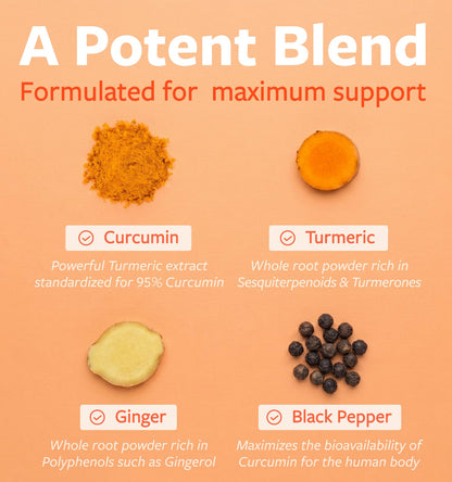 Organic Turmeric Ginger Black Pepper Supplement - High Potency Organic Turmeric Curcumin Capsules with Ginger & Black Pepper for Enhanced Benefits and Absorption - Vegan & Non-GMO (2 Month Supply) - PrimeBioHealth - canada supplements