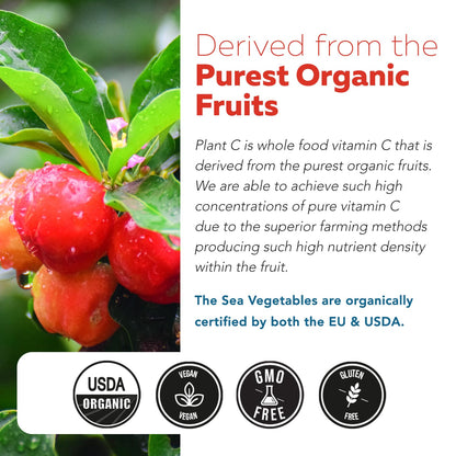 Organic Vitamin C | Whole Food Vitamin C from Fruit Plus Absorption Enhancing Cofactors - Vegan, Enhanced Bioavailability - Immune Support, Antioxidant, Total Health (90 Servings) - PrimeBioHealth - canada supplements