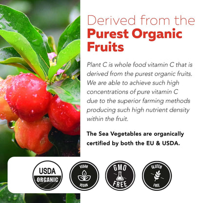 Organic Vitamin C | Whole Food Vitamin C from Fruit Plus Absorption Enhancing Cofactors - Vegan, Enhanced Bioavailability - Immune Support, Antioxidant, Total Health (90 Servings) - PrimeBioHealth - canada supplements