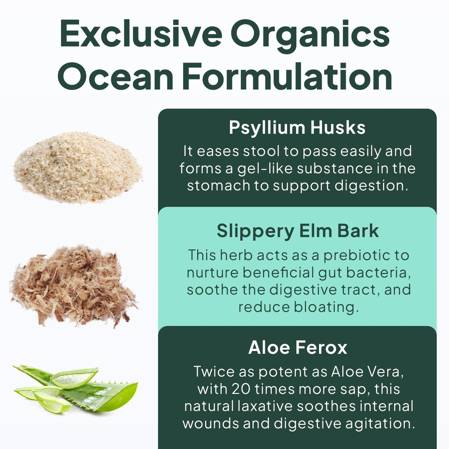 Organics Ocean Better Fiber - Daily Fiber Supplement - Soften Stool for Effortless Bowel Movements - with Psyllium Hulk and Slippery Elm - 90 Capsules - PrimeBioHealth - canada supplements
