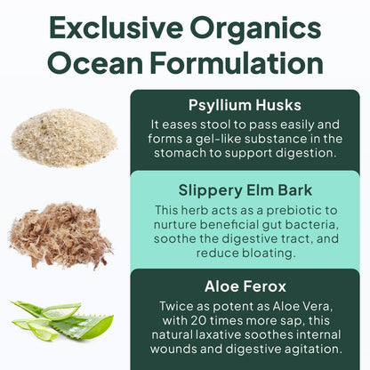 Organics Ocean Better Fiber - Daily Fiber Supplement - Soften Stool for Effortless Bowel Movements - with Psyllium Hulk and Slippery Elm - 90 Capsules - PrimeBioHealth - canada supplements