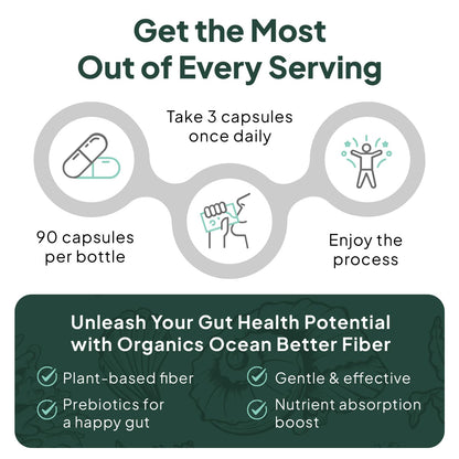 Organics Ocean Better Fiber - Daily Fiber Supplement - Soften Stool for Effortless Bowel Movements - with Psyllium Hulk and Slippery Elm - 90 Capsules - PrimeBioHealth - canada supplements