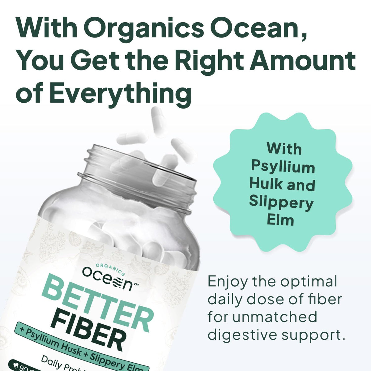Organics Ocean Better Fiber - Daily Fiber Supplement - Soften Stool for Effortless Bowel Movements - with Psyllium Hulk and Slippery Elm - 90 Capsules - PrimeBioHealth - canada supplements