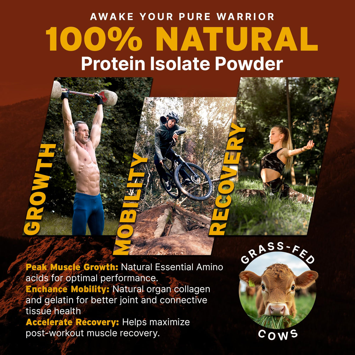 Paleo Pro 26G Beef Protein Powder - Grass Fed Protein Powder Isolate - Pure Animal Based Pastured & Cage-Free | Dairy & Gluten Free, Natural & Clean Proteins for Paleo & Keto - 15 Days Supply Vanilla - PrimeBioHealth - canada supplements
