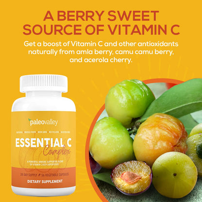 Paleovalley Essential C Complex - Vitamin C Supplement for Immune Support - 1 Pack, 450mg - Organic Superfoods Unripe Acerola Cherry, Camu Camu, Amla Berry - PrimeBioHealth - canada supplements