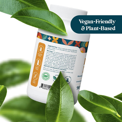 Pattern Wellness Lion’s Mane Mushroom Supplement – 90 Vegan Capsules | Supplement Capsules for Cognitive & Focus Support – Enhanced Absorption - PrimeBioHealth - canada supplements