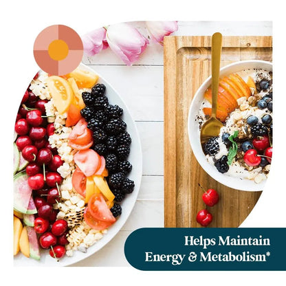 Pattern Wellness Multivitamin for Men & Women – Vitamin A, B, C, D, E – Supports Energy & Wellness – Whole Body Health - PrimeBioHealth - canada supplements
