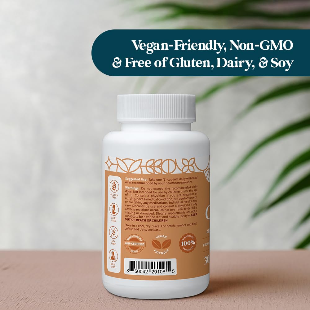 Pattern Wellness Zinc Complex – Supports Immune, Skin & Digestive Health – High Absorption Zinc with Vitamin C, Probiotics & Natural Blends – 30 Vegan Capsules - PrimeBioHealth - canada supplements