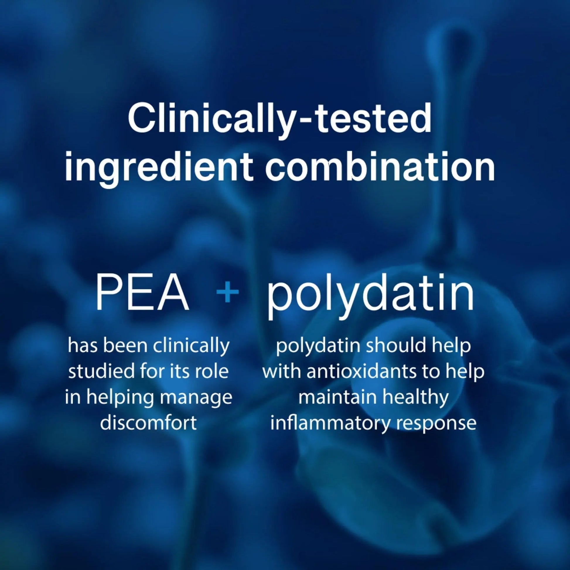 PEAlief Pea + Polydatin – New Bladder & Urinary Comfort Support with Clinically Tested Ingredient Combination — One Pill Per Day, 60 Day Supply - PrimeBioHealth - canada supplements