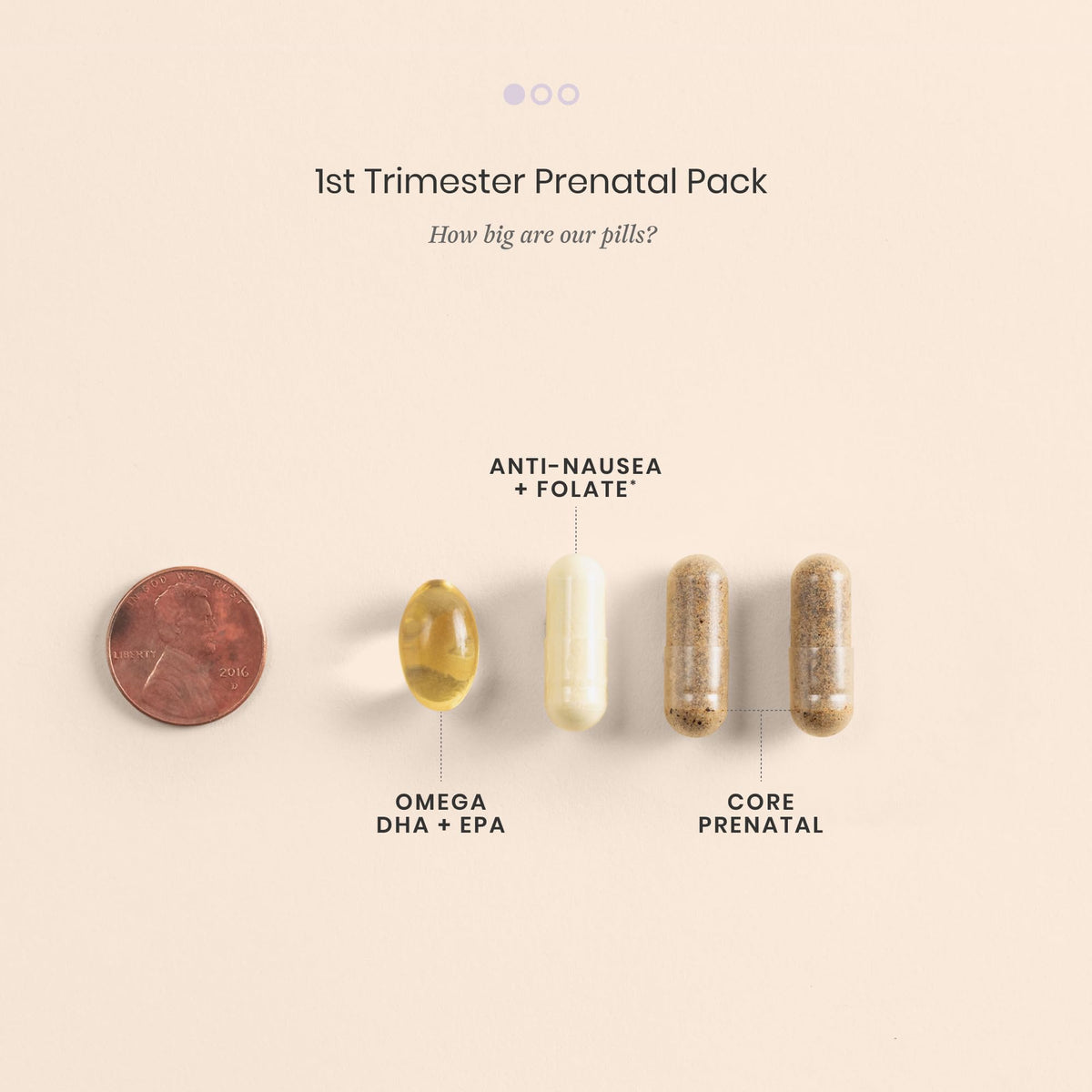 Perelel 1st Trimester Prenatal Pack, Multivitamin with Folate, Vitamin D, Omega 3, Iron & Ginger, Nutritional Support for Early Pregnancy - PrimeBioHealth - canada supplements