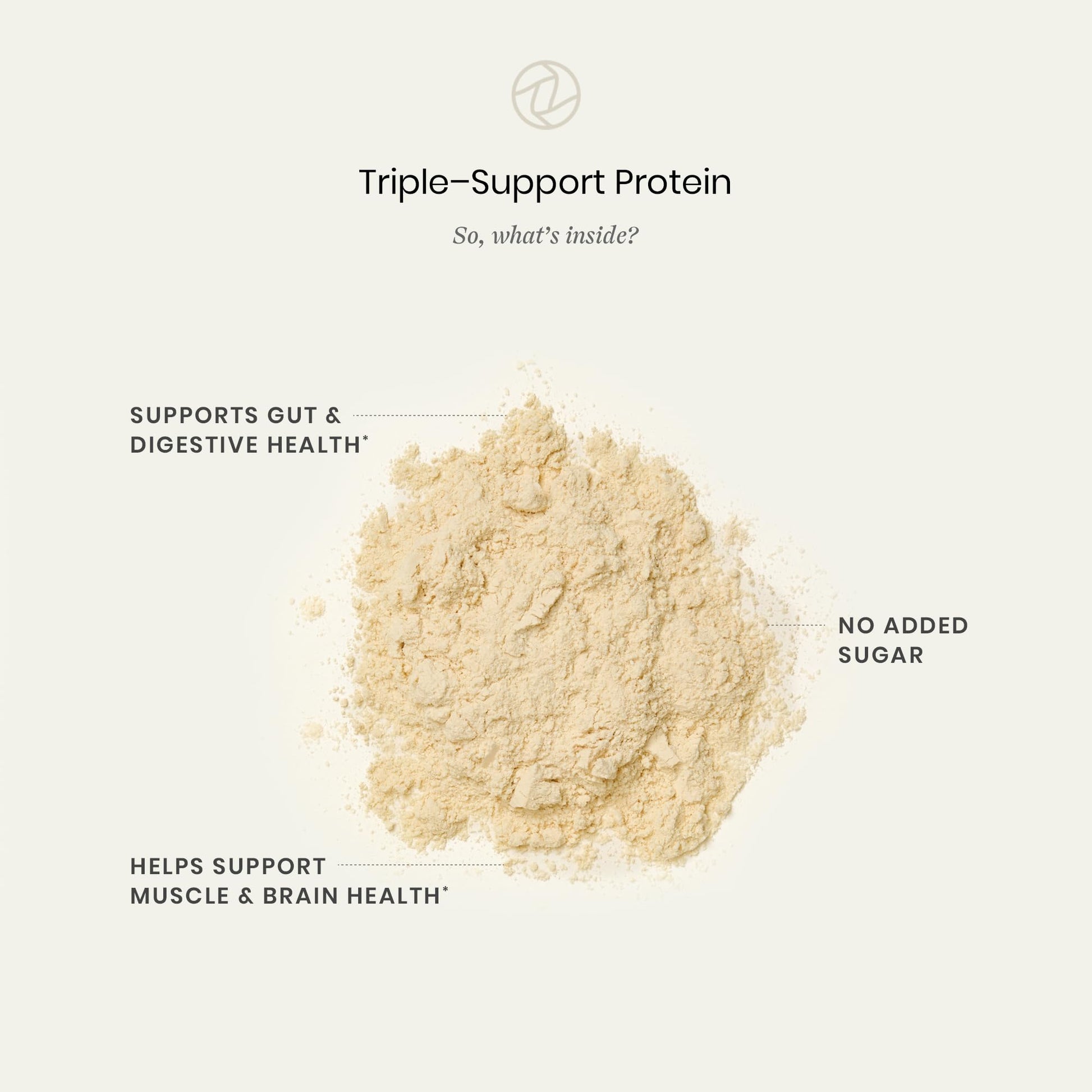 Perelel Triple-Support Plant Based Protein Powder, Creamy Vanilla, 20g Vegan Protein Powder, 3g Creatine Monohydrate, & 5g Prebiotic Fiber per Serving, Dairy Free, - PrimeBioHealth - canada supplements