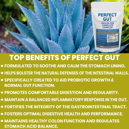 Perfect Gut: Inulin FOS Powder for Gut Health. Prebiotic Inulin. Unique Prebiotic 95% FOS Inulin Agave Fiber - PrimeBioHealth - canada supplements