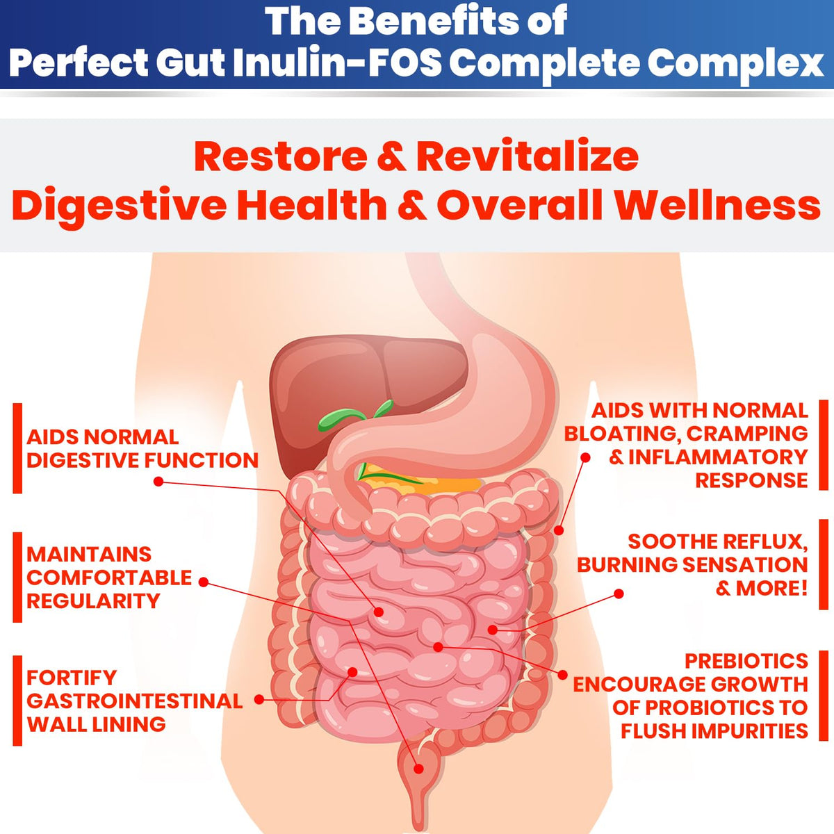 Perfect Gut: Inulin FOS Powder for Gut Health. Prebiotic Inulin. Unique Prebiotic 95% FOS Inulin Agave Fiber - PrimeBioHealth - canada supplements