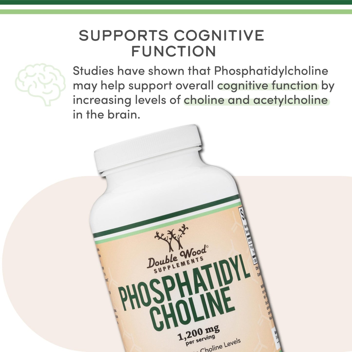 Phosphatidylcholine 1,200mg – 210 Softgels – Enhanced Version of Sunflower and Soy Lecithin (Choline Supplements) - Non-GMO and Gluten Free - PrimeBioHealth - canada supplements