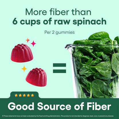 Physician’s Choice Fiber Gummies for Digestive Health & Regularity - Raspberry Lemon Flavor - No Sugar Added & Vegan - Natural Chicory Root Prebiotic Fiber - PrimeBioHealth - canada supplements