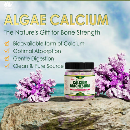 Plant Based Calcium Gummies 600mg with Vitamin D3 K2, Magnesium, Zinc for Bone Strength, Sugar Free Calcium Supplements for Women & Men (Certified Vegan) - PrimeBioHealth - canada supplements