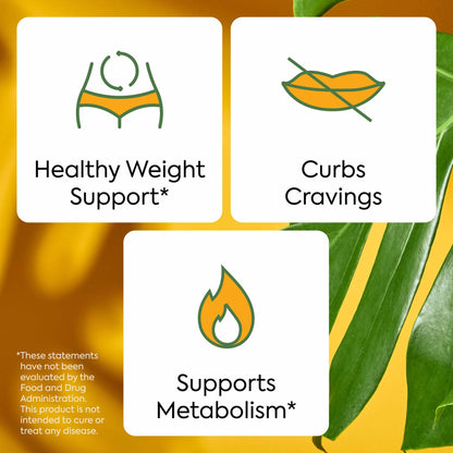 Plant People WonderBurn Metabolism & Cravings Control Gummies, Zero Sugar, Ripe Mango Flavor (60 Count) - PrimeBioHealth - canada supplements