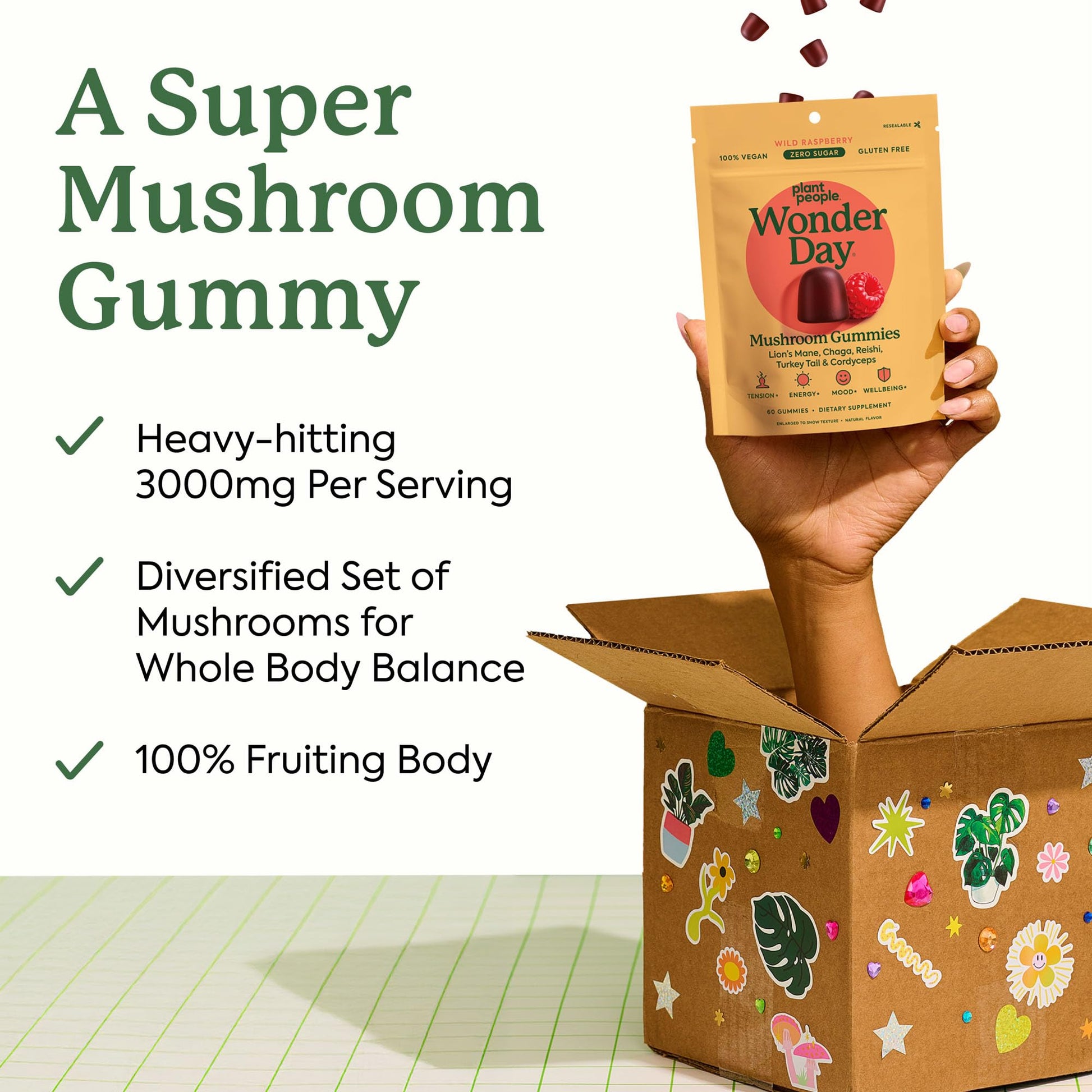 Plant People WonderDay Mushroom Gummies - Lion’s Mane, Cordyceps, Chaga Mushroom Supplement to Support Immune System De-Stress Boost Mood & Energy in Adults Natural - PrimeBioHealth - canada supplements