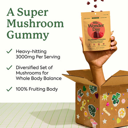 Plant People WonderDay Mushroom Gummies - Lion’s Mane, Cordyceps, Chaga Mushroom Supplement to Support Immune System De-Stress Boost Mood & Energy in Adults Natural - PrimeBioHealth - canada supplements