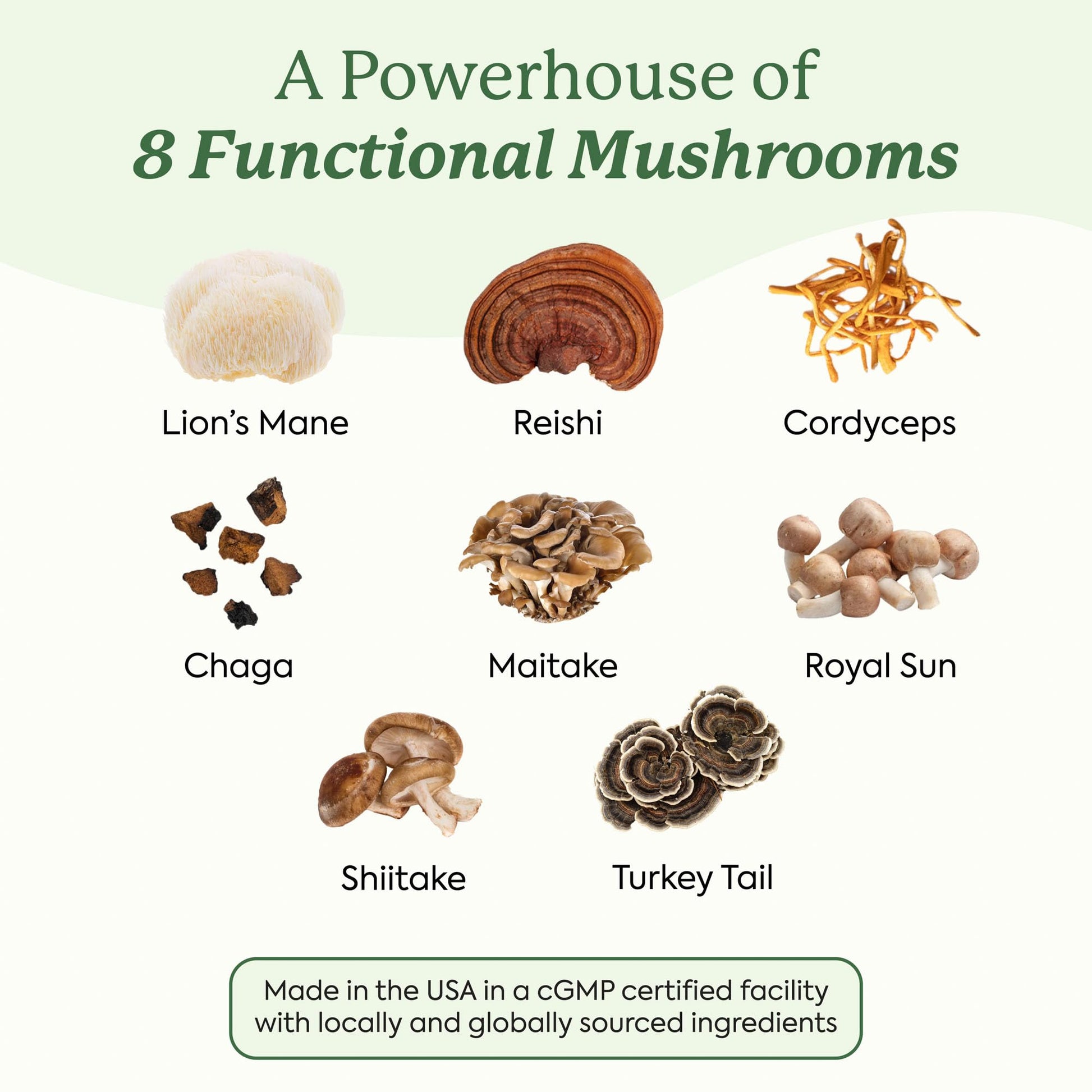 Plant People WonderDay Mushroom Gummies - Lion’s Mane, Cordyceps, Chaga Mushroom Supplement to Support Immune System De-Stress Boost Mood & Energy in Adults Natural - PrimeBioHealth - canada supplements
