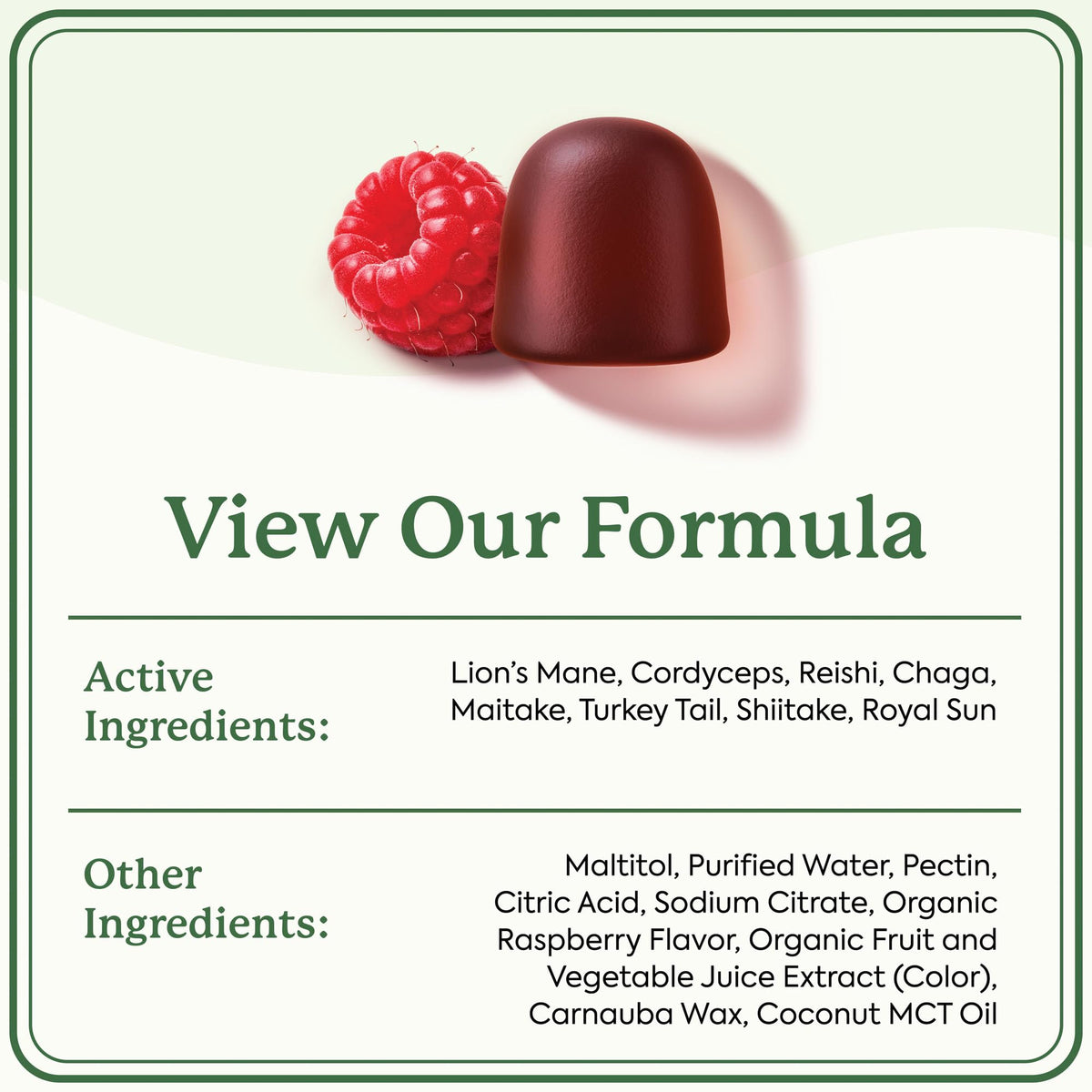 Plant People WonderDay Mushroom Gummies - Lion’s Mane, Cordyceps, Chaga Mushroom Supplement to Support Immune System De-Stress Boost Mood & Energy in Adults Natural - PrimeBioHealth - canada supplements
