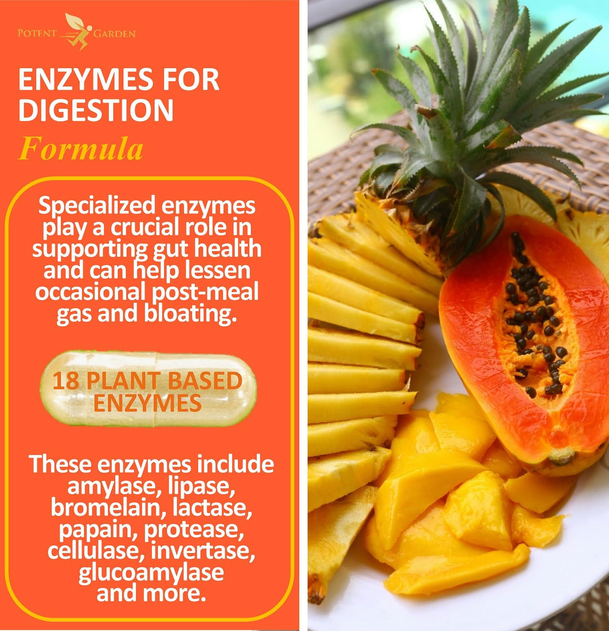Potent Garden Digestive Enzymes -18 Plant Based Enzymes with amylase lipase bromelain Protease lactase & Other Enzymes - One Pre Meal Pill Supports Healthy - PrimeBioHealth - canada supplements