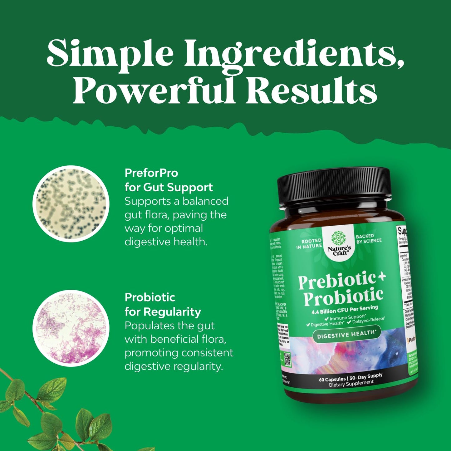 Prebiotics and Probiotics Gut Health Supplement-Super Potent Digestive Health Acidophilus Probiotic Capsules with Men & Womens Probiotics & Prebiotics - PrimeBioHealth - canada supplements