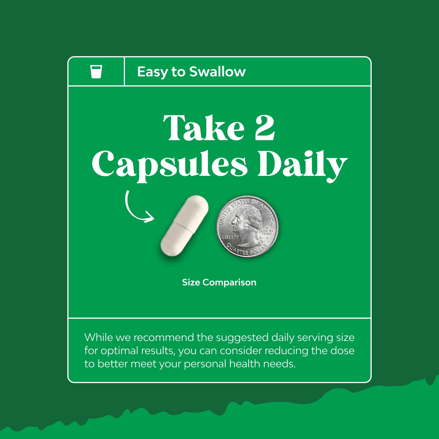 Prebiotics and Probiotics Gut Health Supplement-Super Potent Digestive Health Acidophilus Probiotic Capsules with Men & Womens Probiotics & Prebiotics - PrimeBioHealth - canada supplements