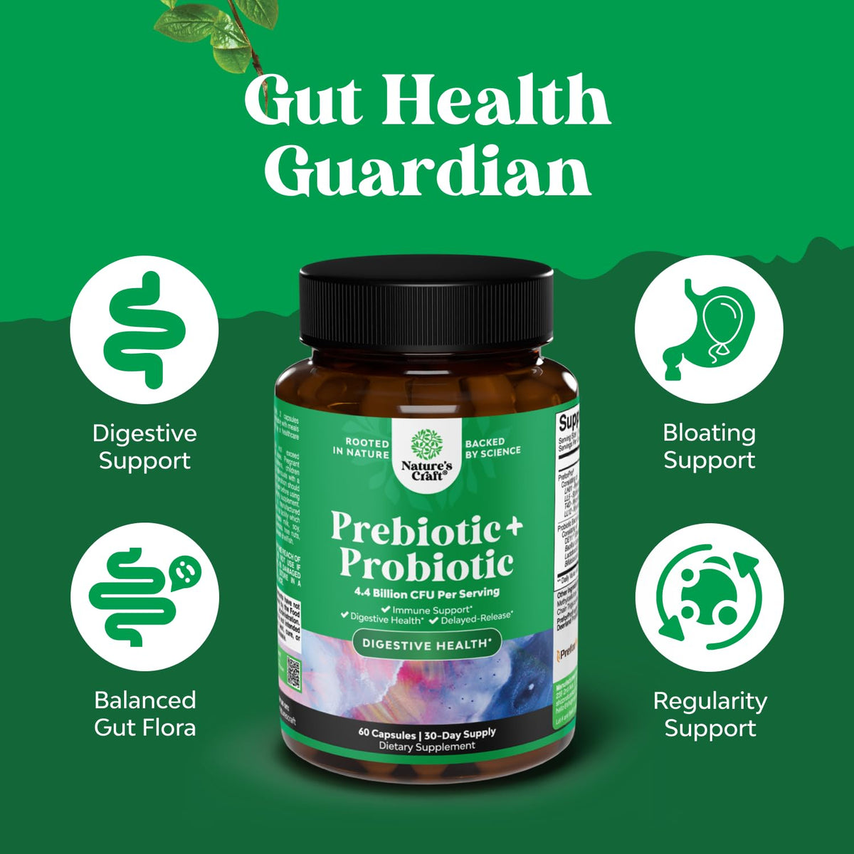 Prebiotics and Probiotics Gut Health Supplement-Super Potent Digestive Health Acidophilus Probiotic Capsules with Men & Womens Probiotics & Prebiotics - PrimeBioHealth - canada supplements