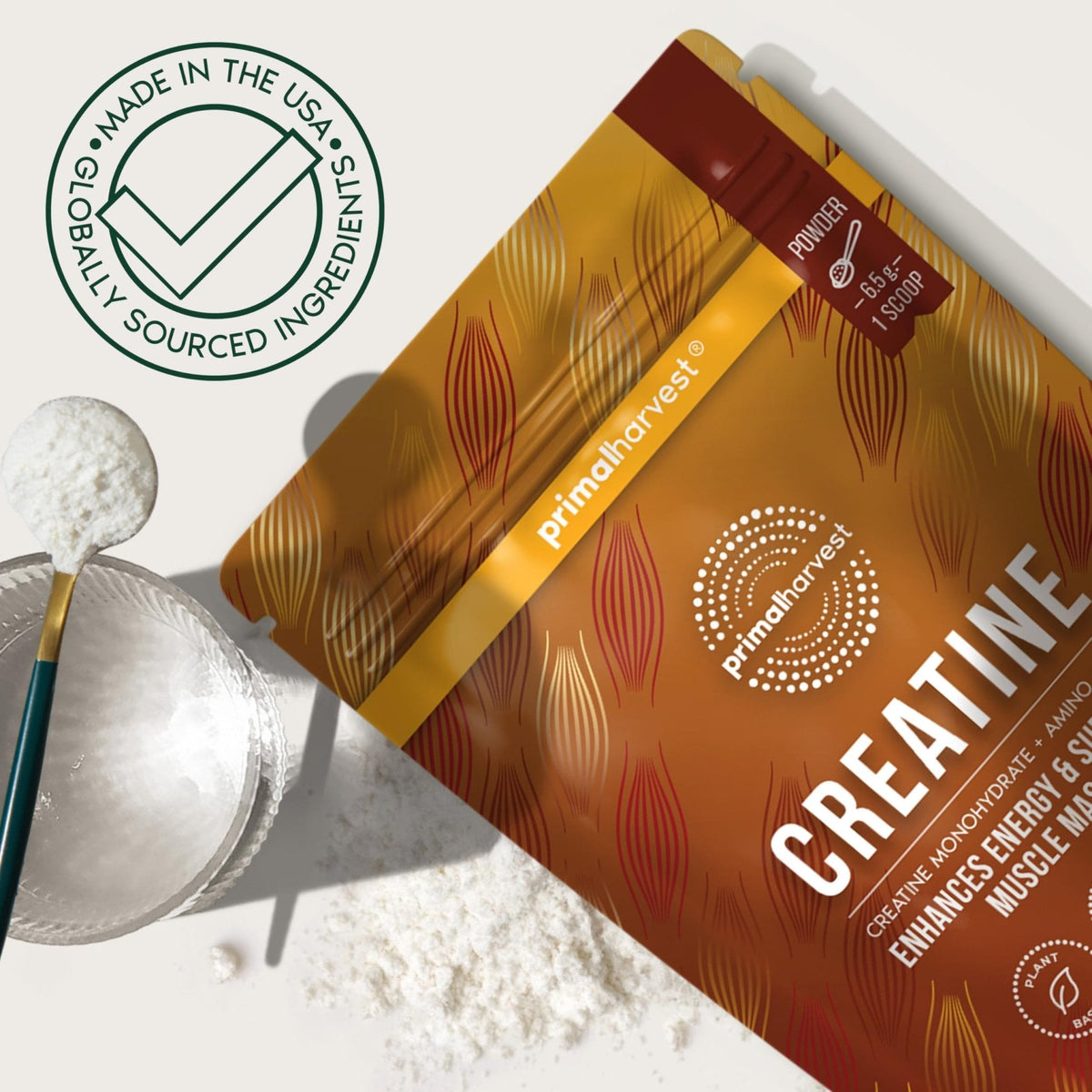 Primal Harvest Creatine Powder Supplement for Men and Women's Fitness, Workouts, and Muscle Growth, to Help Promote Recovery, Strength, Energy, and Endurance (1) - PrimeBioHealth - canada supplements