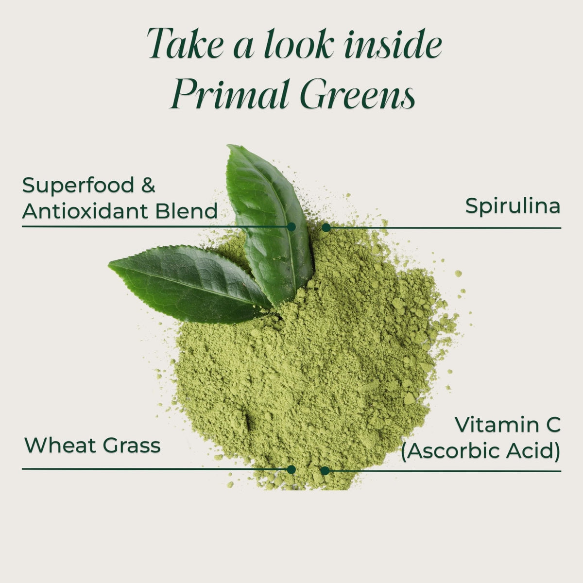 Primal Harvest Super Greens Powder, 30 Servings w/+50 Greens Superfood Chlorella, Probiotics, Green Tea, Wheatgrass, - PrimeBioHealth - canada supplements