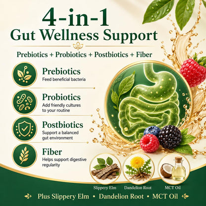 PRIMEHAVEN Probiotic Kombucha Gummies - Prebiotics, Probiotics, Postbiotics, Fiber Supplement, Slippery Elm, Dandelion Root, for Bloating, Gut Health - PrimeBioHealth - canada supplements