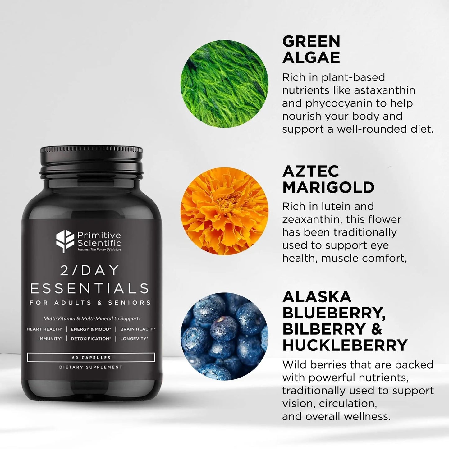 Primitive Scientific Whole Food Daily Essential Multivitamins for Adults and Seniors - 2X a Day - Vitamin A, C, D, E, B12 and Minerals - PrimeBioHealth - canada supplements