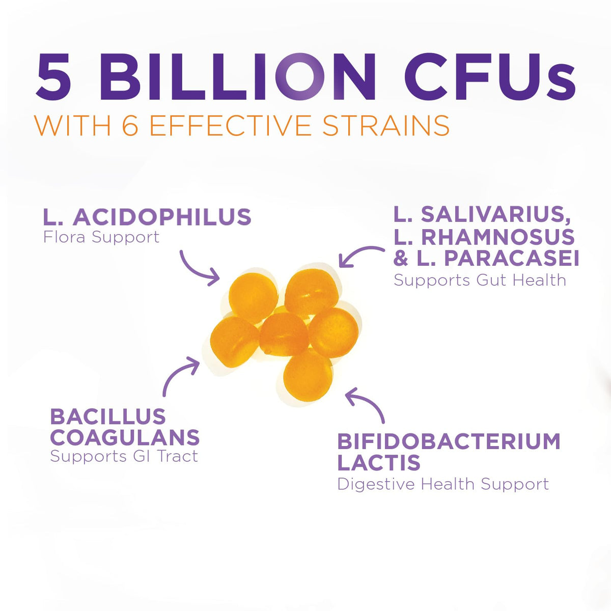 Probiotic Gummies - Advanced Multi-Strain Probiotic Formula - Gut & Digestive Health Support Gummy - Bacillus Coagulans 5 Billion CFU Per Serving, Daily Acidophilus Probiotics Supplement - 120 Gummies - PrimeBioHealth - canada supplements