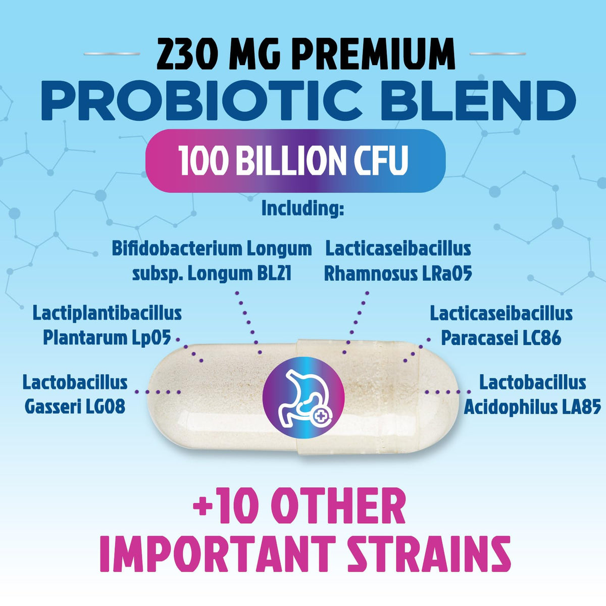Probiotics for Digestive Gut Health - 100 Billion CFU Per Capsule, 16 Premium Strains & Prebiotics - Best Probiotics for Women & Men, Occasional Constipation - PrimeBioHealth - canada supplements
